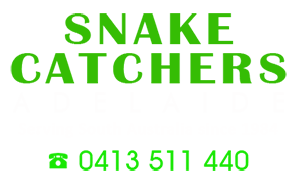 Snake Catchers Adelaide - Brown Snake Removalists